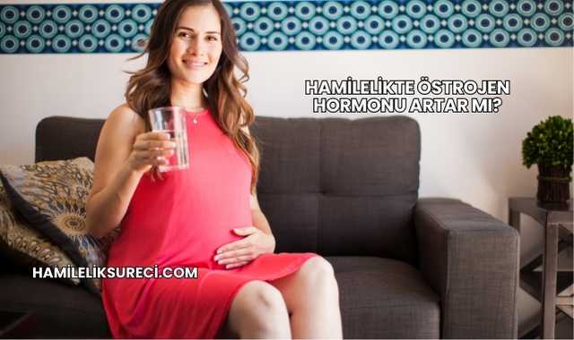 Hamilelikte Östrojen Hormonu Artar mı?