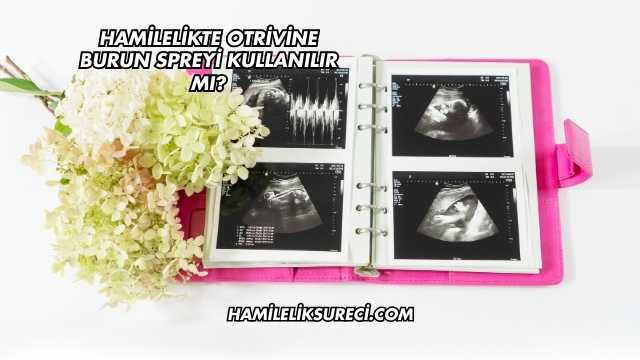 Hamilelikte Otrivine Burun Spreyi Kullanılır mı?