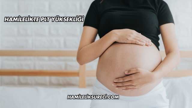 Hamilelikte Plt Yüksekliği