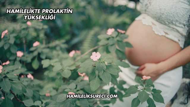 Hamilelikte Prolaktin Yüksekliği