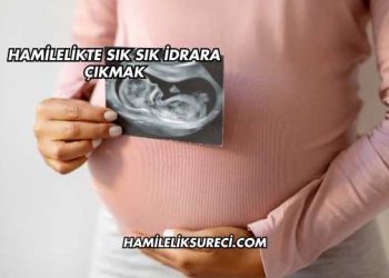 Hamilelikte Sık Sık İdrara Çıkmak