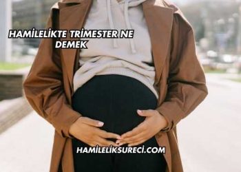 Hamilelikte Trimester Ne Demek