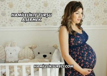 Hamilelikte Turşu Aşermek