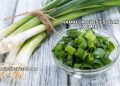 Hamilelikte Yeşil Soğan Yemek