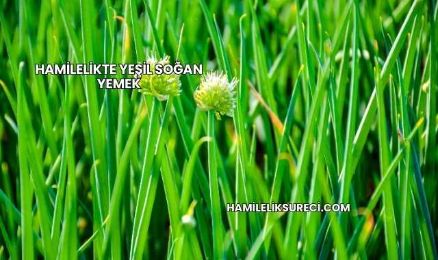 Hamilelikte Yeşil Soğan Yemek