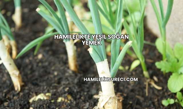 Hamilelikte Yeşil Soğan Yemek