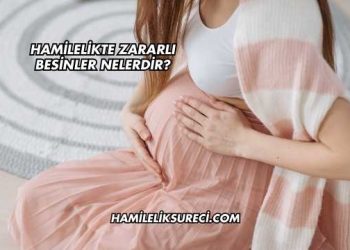 Hamilelikte Zararlı Besinler Nelerdir?