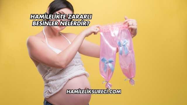 Hamilelikte Zararlı Besinler Nelerdir?