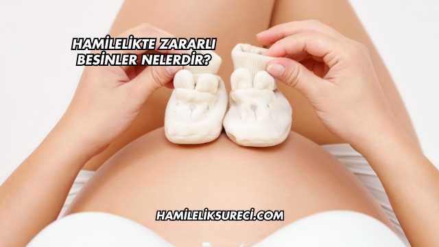 Hamilelikte Zararlı Besinler Nelerdir?