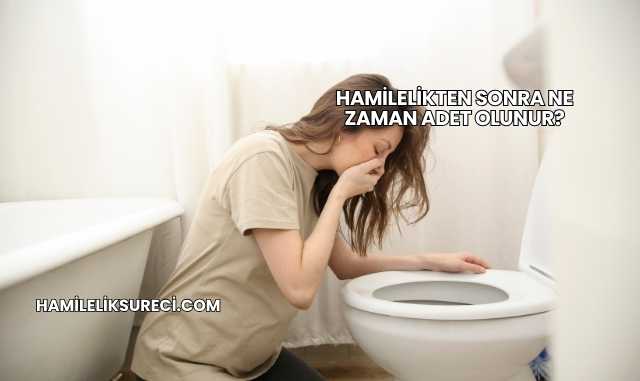 Hamilelikten Sonra Ne Zaman Adet Olunur?