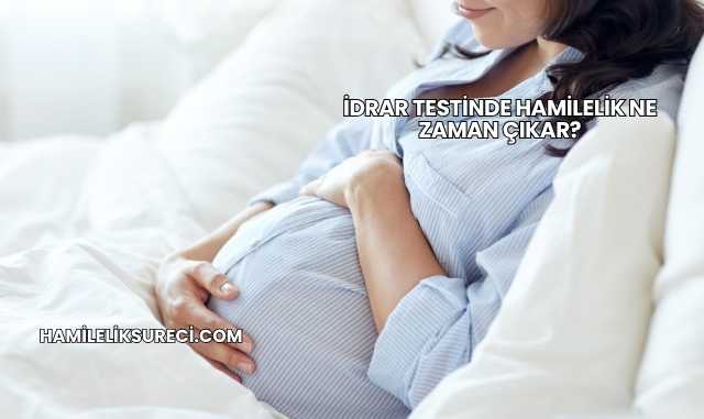 İdrar Testinde Hamilelik Ne Zaman Çıkar?