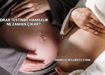 İdrar Testinde Hamilelik Ne Zaman Çıkar?