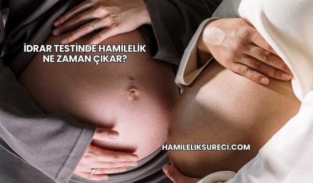 İdrar Testinde Hamilelik Ne Zaman Çıkar?