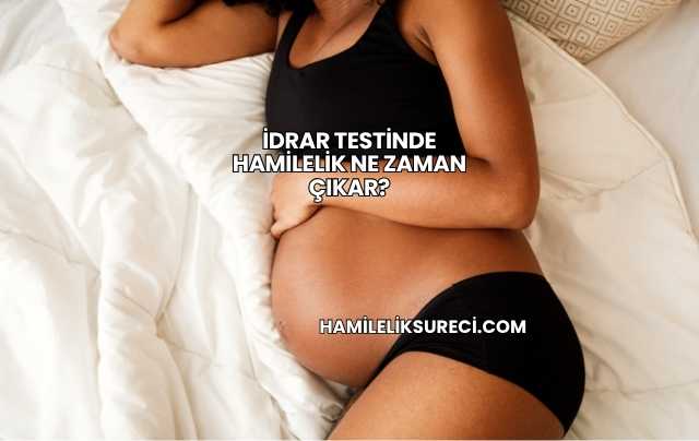 İdrar Testinde Hamilelik Ne Zaman Çıkar?