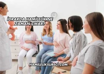 İdrarda Hamilelik Ne Zaman Çıkar?
