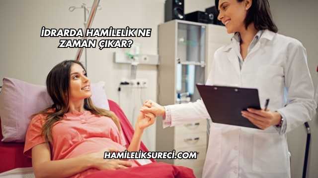 İdrarda Hamilelik Ne Zaman Çıkar?