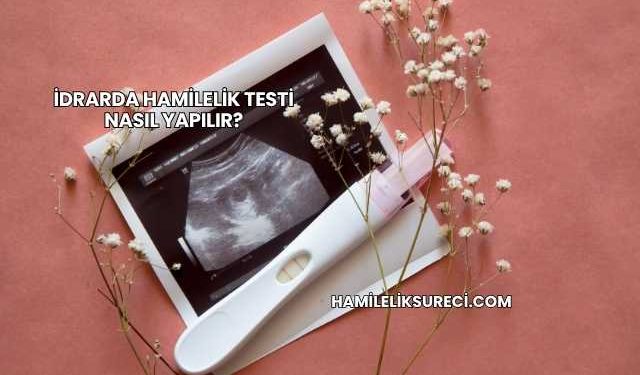 İdrarda Hamilelik Testi Nasıl Yapılır?