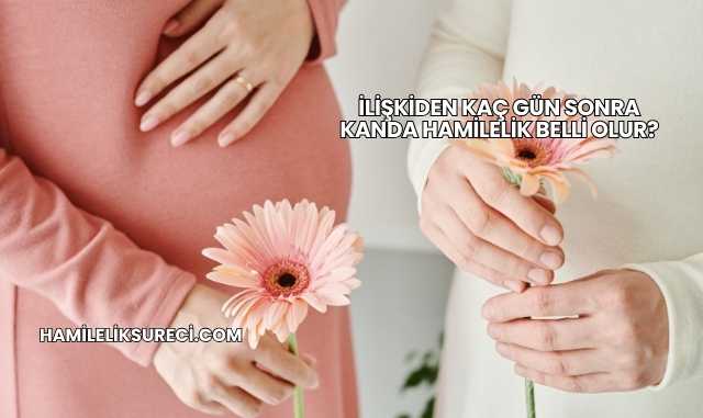 İlişkiden Kaç Gün Sonra Kanda Hamilelik Belli Olur?