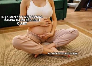 İlişkiden Kaç Gün Sonra Kanda Hamilelik Belli Olur?