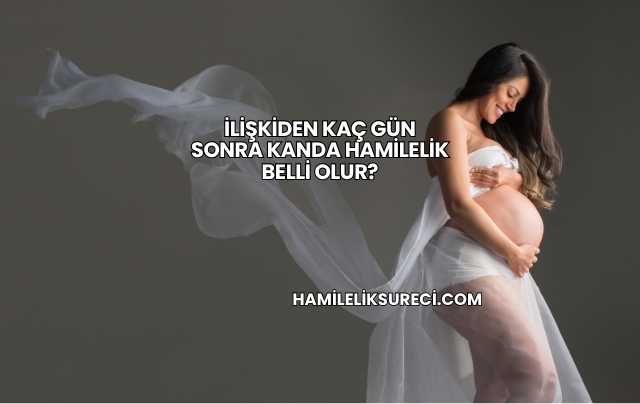 İlişkiden Kaç Gün Sonra Kanda Hamilelik Belli Olur?