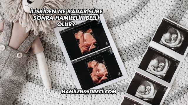 İlişkiden Ne Kadar Süre Sonra Hamilelik Belli Olur?