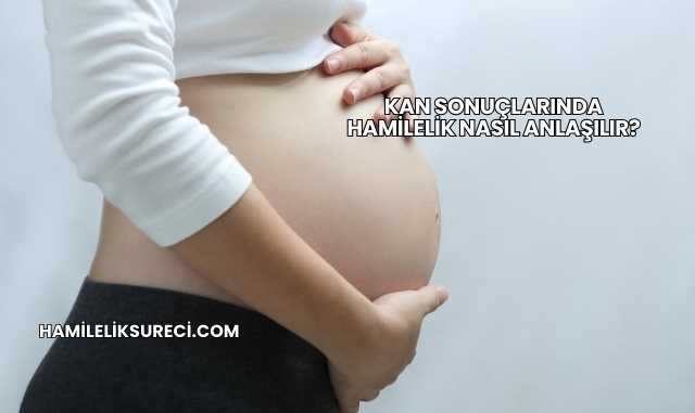 Kan Sonuçlarında Hamilelik Nasıl Anlaşılır?