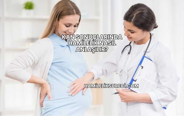Kan Sonuçlarında Hamilelik Nasıl Anlaşılır?