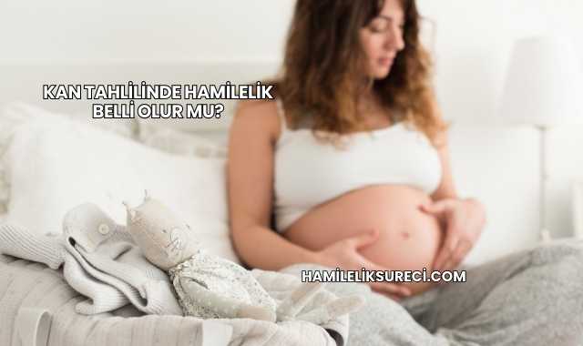 Kan Tahlilinde Hamilelik Belli Olur mu?