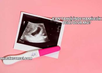 Kan Tahlilinde Hamilelik Belli Olur mu?