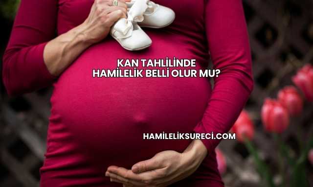 Kan Tahlilinde Hamilelik Belli Olur mu?