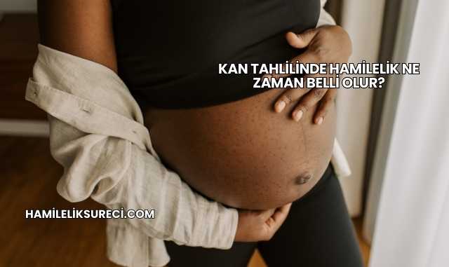 Kan Tahlilinde Hamilelik Ne Zaman Belli Olur?