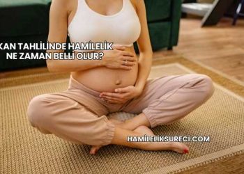 Kan Tahlilinde Hamilelik Ne Zaman Belli Olur?