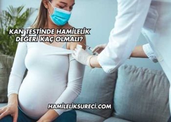 Kan Testinde Hamilelik Değeri Kaç Olmalı?