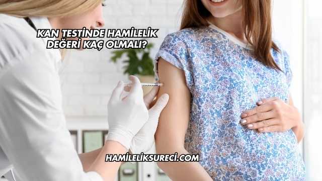Kan Testinde Hamilelik Değeri Kaç Olmalı?