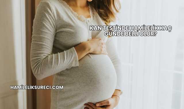 Kan Testinde Hamilelik Kaç Günde Belli Olur?