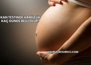 Kan Testinde Hamilelik Kaç Günde Belli Olur?