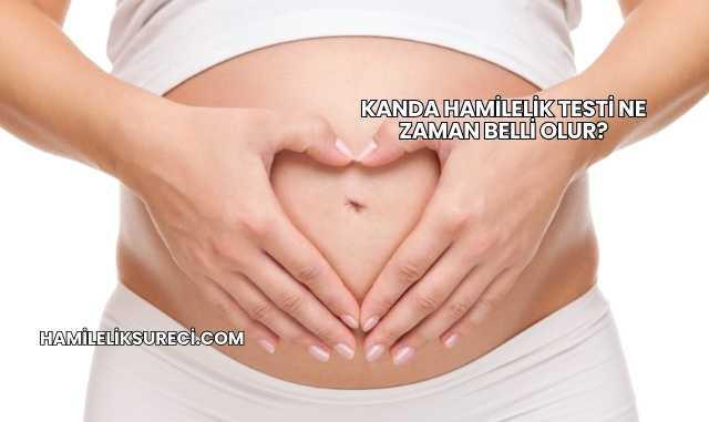 Kanda Hamilelik Testi Ne Zaman Belli Olur?