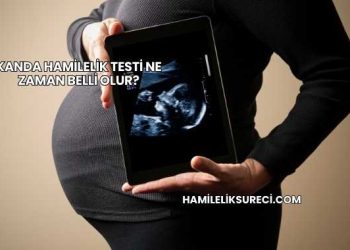 Kanda Hamilelik Testi Ne Zaman Belli Olur?