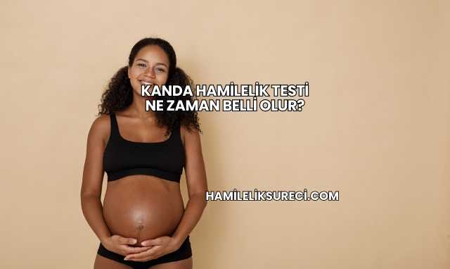 Kanda Hamilelik Testi Ne Zaman Belli Olur?