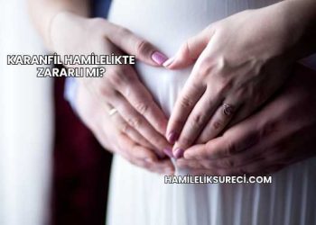 Karanfil Hamilelikte Zararlı mı?