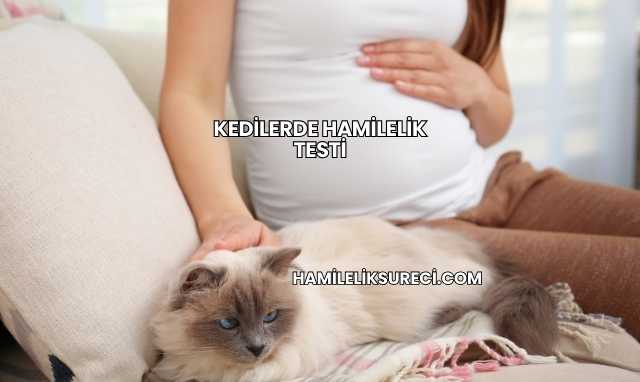Kedilerde Hamilelik Testi