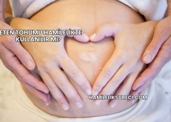 Keten Tohumu Hamilelikte Kullanılır mı?