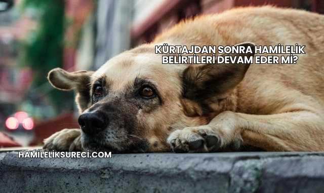 Kürtajdan Sonra Hamilelik Belirtileri Devam Eder mi?