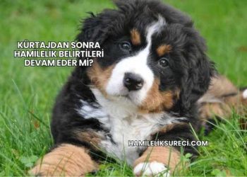 Kürtajdan Sonra Hamilelik Belirtileri Devam Eder mi?