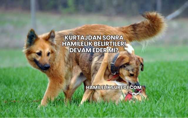 Kürtajdan Sonra Hamilelik Belirtileri Devam Eder mi?