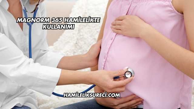 Magnorm 365 Hamilelikte Kullanımı