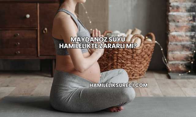 Maydanoz Suyu Hamilelikte Zararlı mı?
