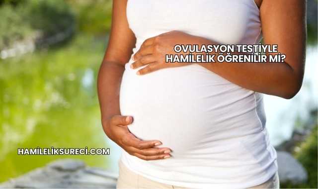 Ovulasyon Testiyle Hamilelik Öğrenilir mi?