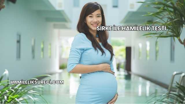 Sirke İle Hamilelik Testi