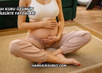 Siyah Kuru Üzümün Hamilelikte Faydaları